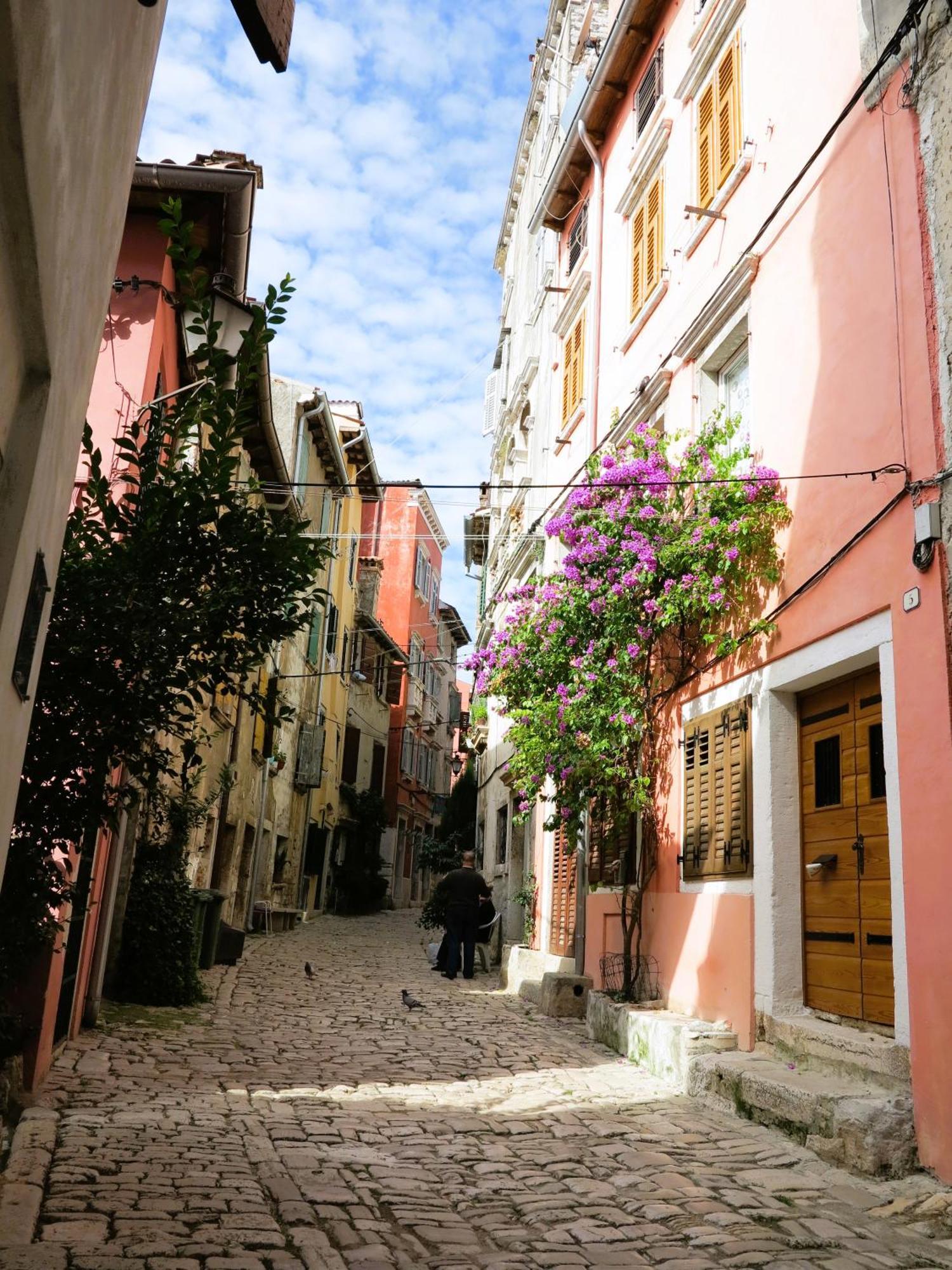 Apartma Casa Marea